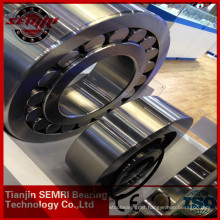 Semri & Tfn Brand of Cylindrical Roller Bearing (N2313m)